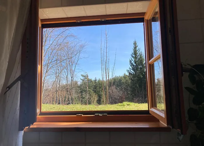 Haus Renate Apartment